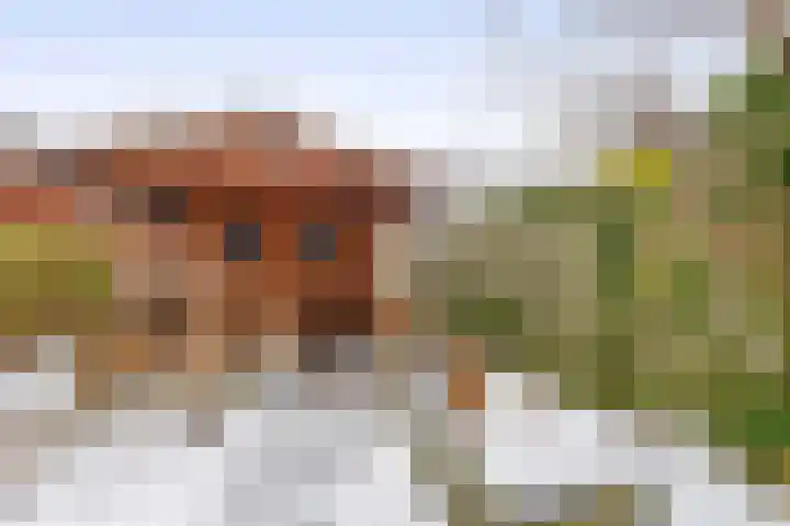 Langeleegte 121 Veendam thumbnail 35