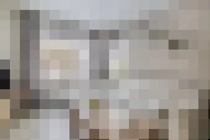 Langeleegte 121 Veendam thumbnail 9