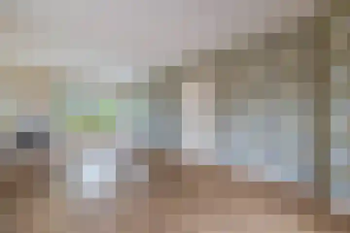 Langeleegte 14 Veendam thumbnail 12