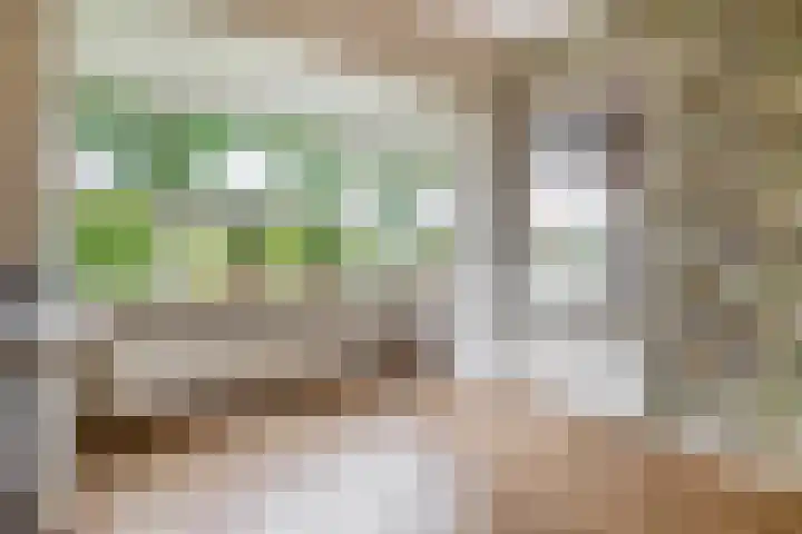 Langeleegte 14 Veendam thumbnail 13