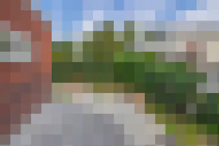 Langeleegte 14 Veendam thumbnail 34