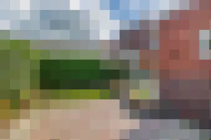 Langeleegte 14 Veendam thumbnail 35