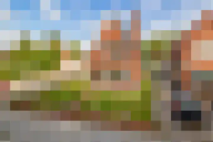 Langeleegte 14 Veendam thumbnail 39