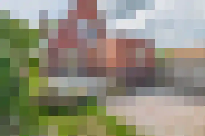 Langeleegte 14 Veendam thumbnail 5