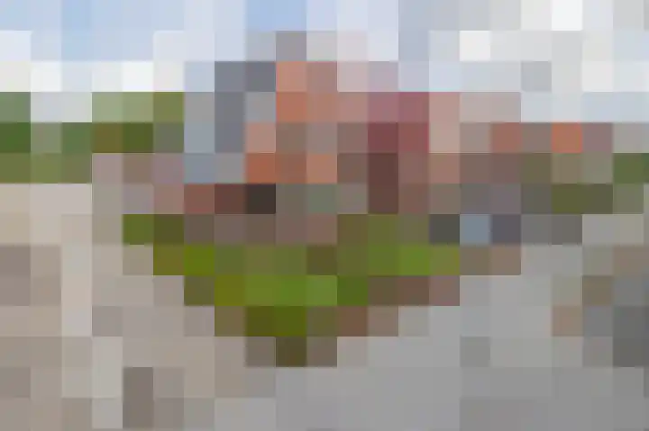 Langeleegte 14 Veendam thumbnail 6