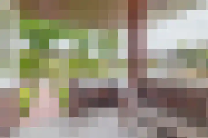Langeleegte 14 Veendam thumbnail 7