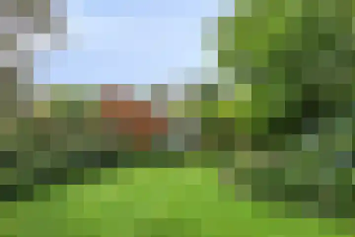 Langeleegte 143 Veendam thumbnail 20