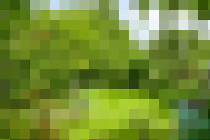 Langeleegte 143 Veendam thumbnail 21