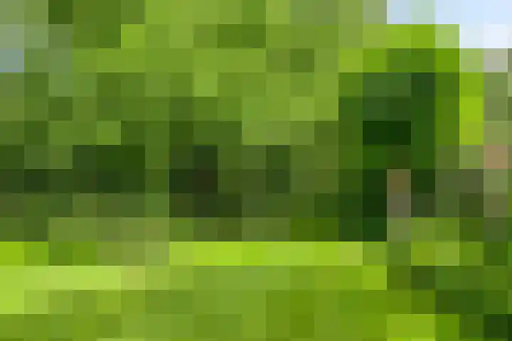 Langeleegte 143 Veendam thumbnail 22