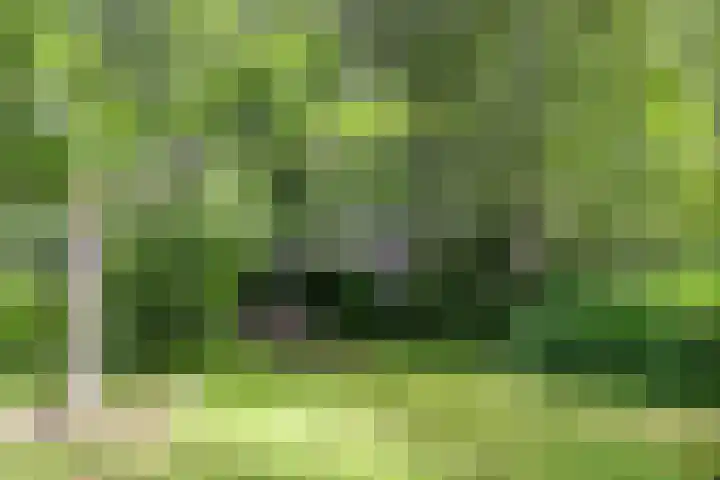 Langeleegte 143 Veendam thumbnail 23
