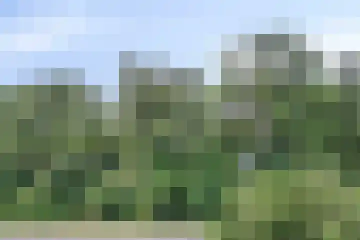 Langeleegte 143 Veendam thumbnail 25