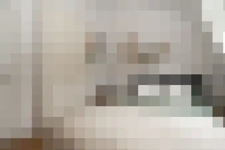 Langeleegte 155 Veendam thumbnail 25