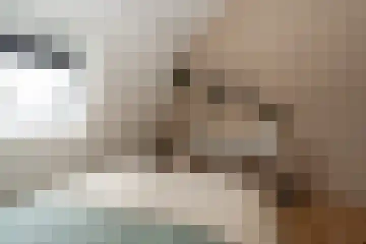 Langeleegte 155 Veendam thumbnail 26