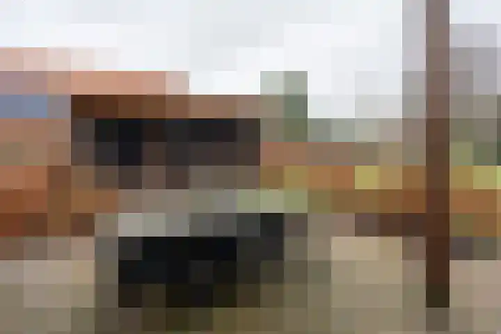Langeleegte 155 Veendam thumbnail 34