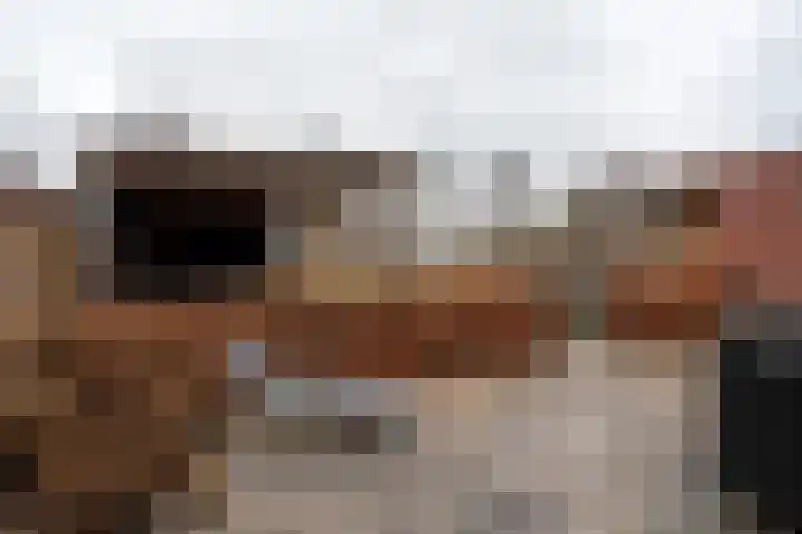 Langeleegte 155 Veendam thumbnail 36