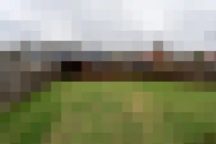 Langeleegte 155 Veendam thumbnail 42