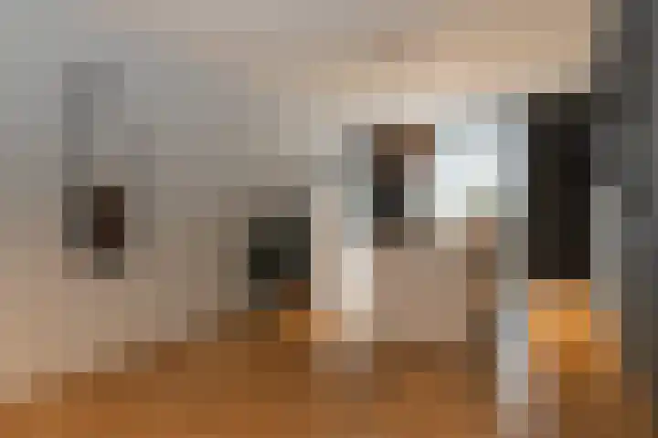Langeleegte 155 Veendam thumbnail 8