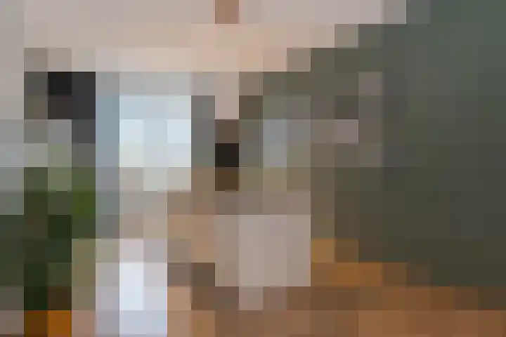 Langeleegte 155 Veendam thumbnail 9