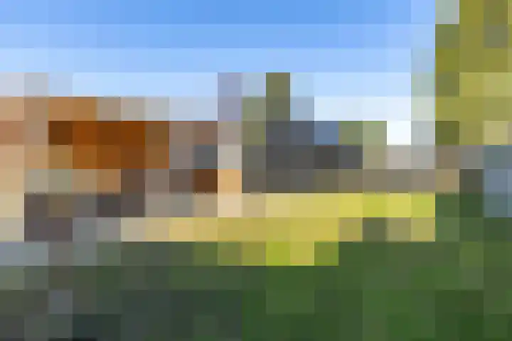 Langeleegte 161 Veendam thumbnail 34