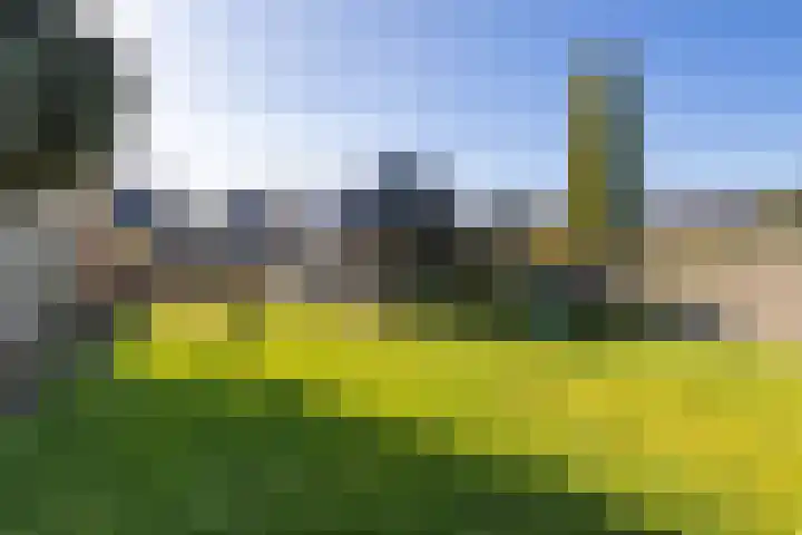 Langeleegte 161 Veendam thumbnail 37