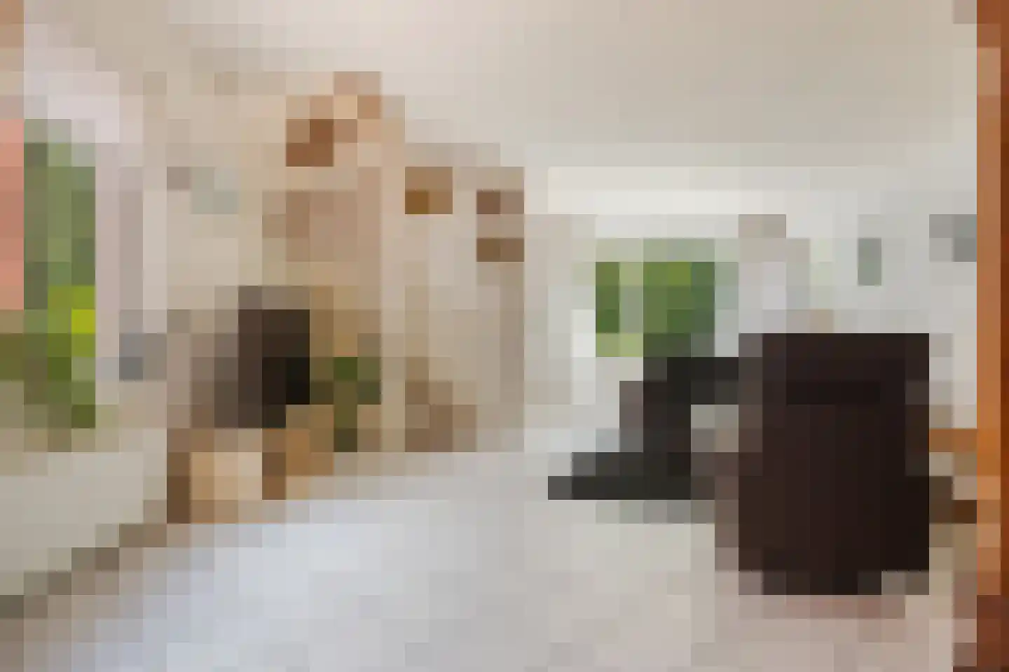 Langeleegte 69 Veendam thumbnail 10