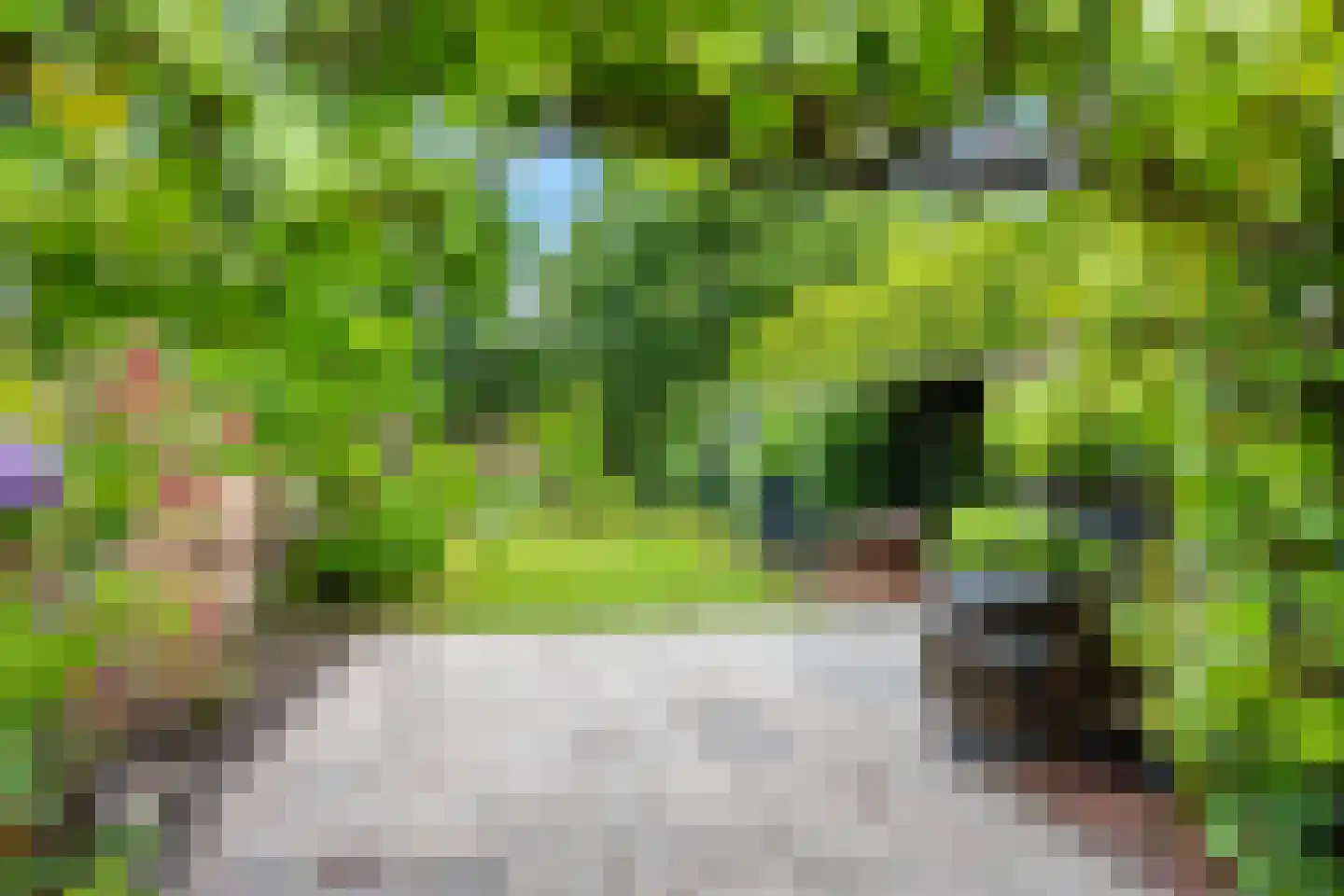 Langeleegte 69 Veendam thumbnail 27