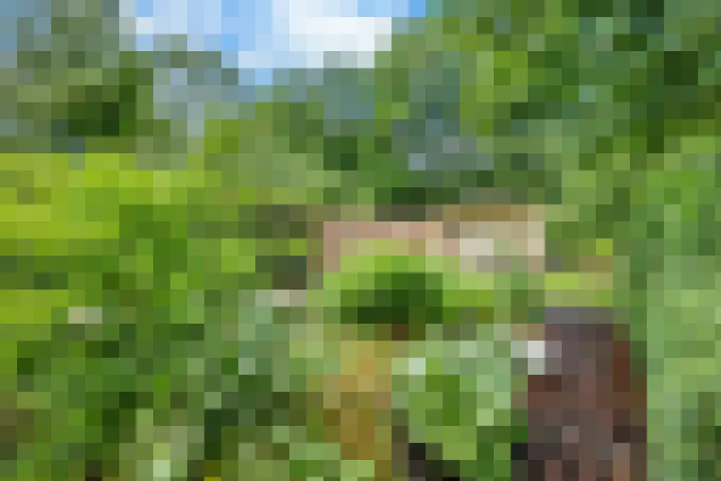 Langeleegte 69 Veendam thumbnail 31