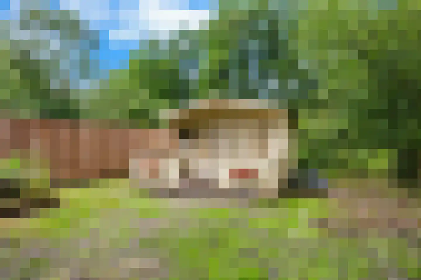 Langeleegte 69 Veendam thumbnail 32