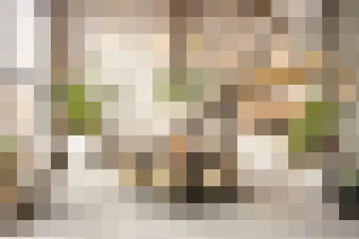 Langelermaatweg 60 Hengelo thumbnail 17