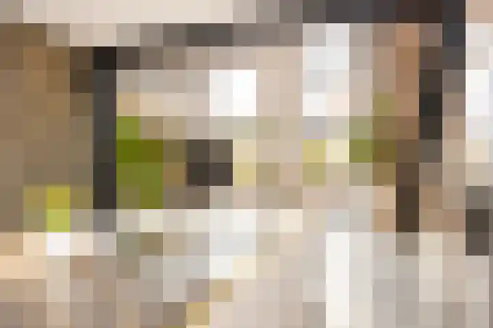 Langelermaatweg 60 Hengelo thumbnail 23