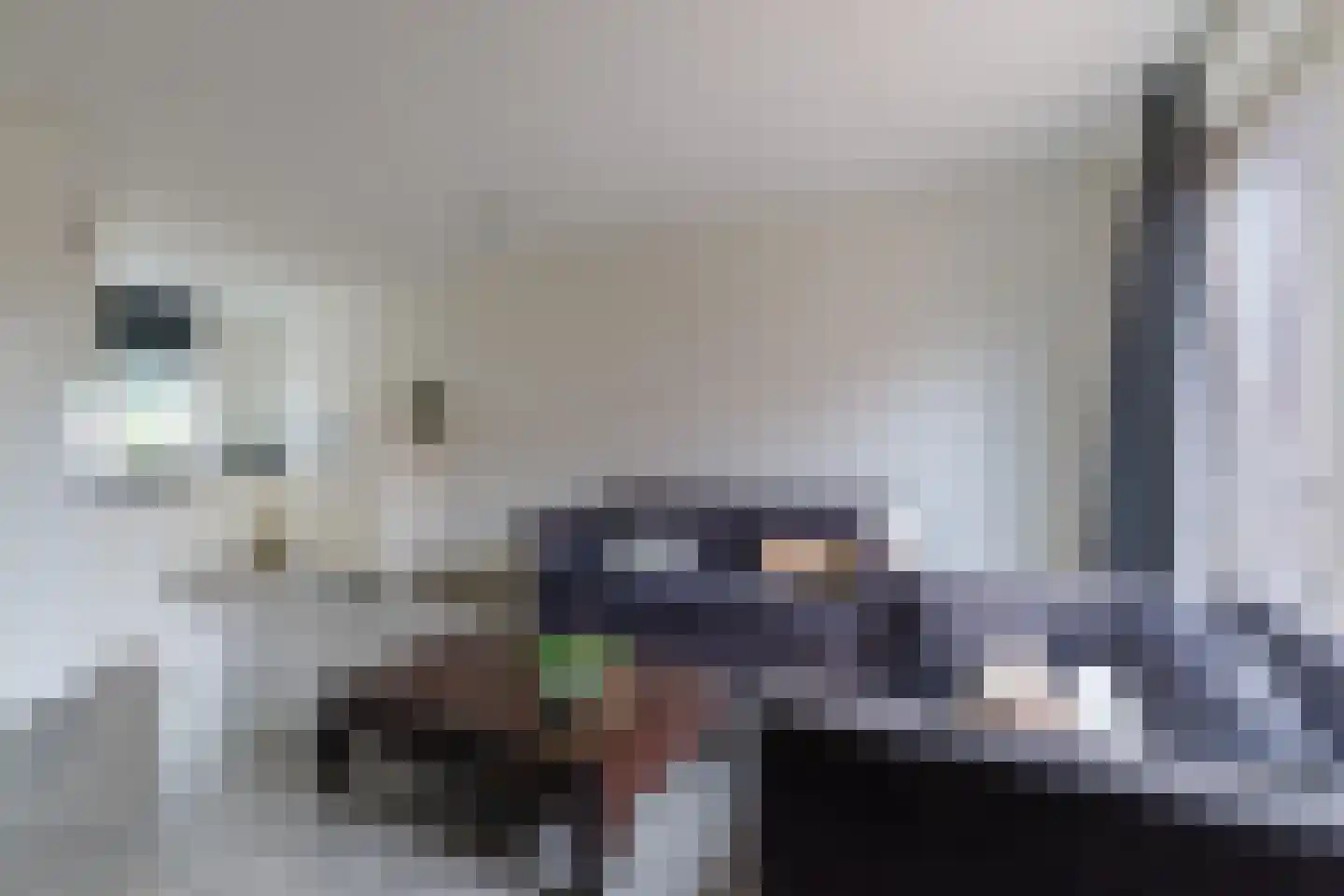 Langelermaatweg 86 Hengelo thumbnail 10