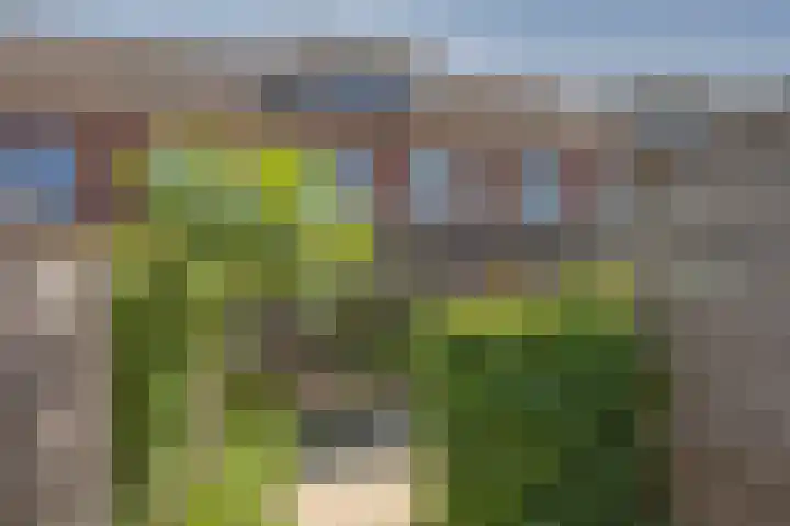 Langelermaatweg 88 Hengelo thumbnail 34