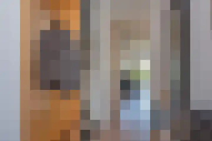 Langelermaatweg 88 Hengelo thumbnail 6