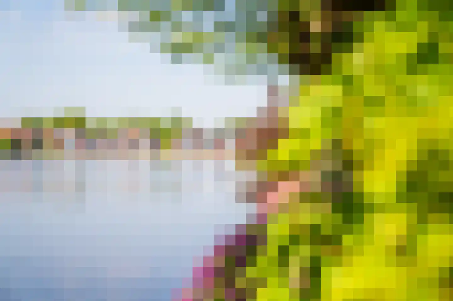 Langelilleweg 2 Langelille thumbnail 14