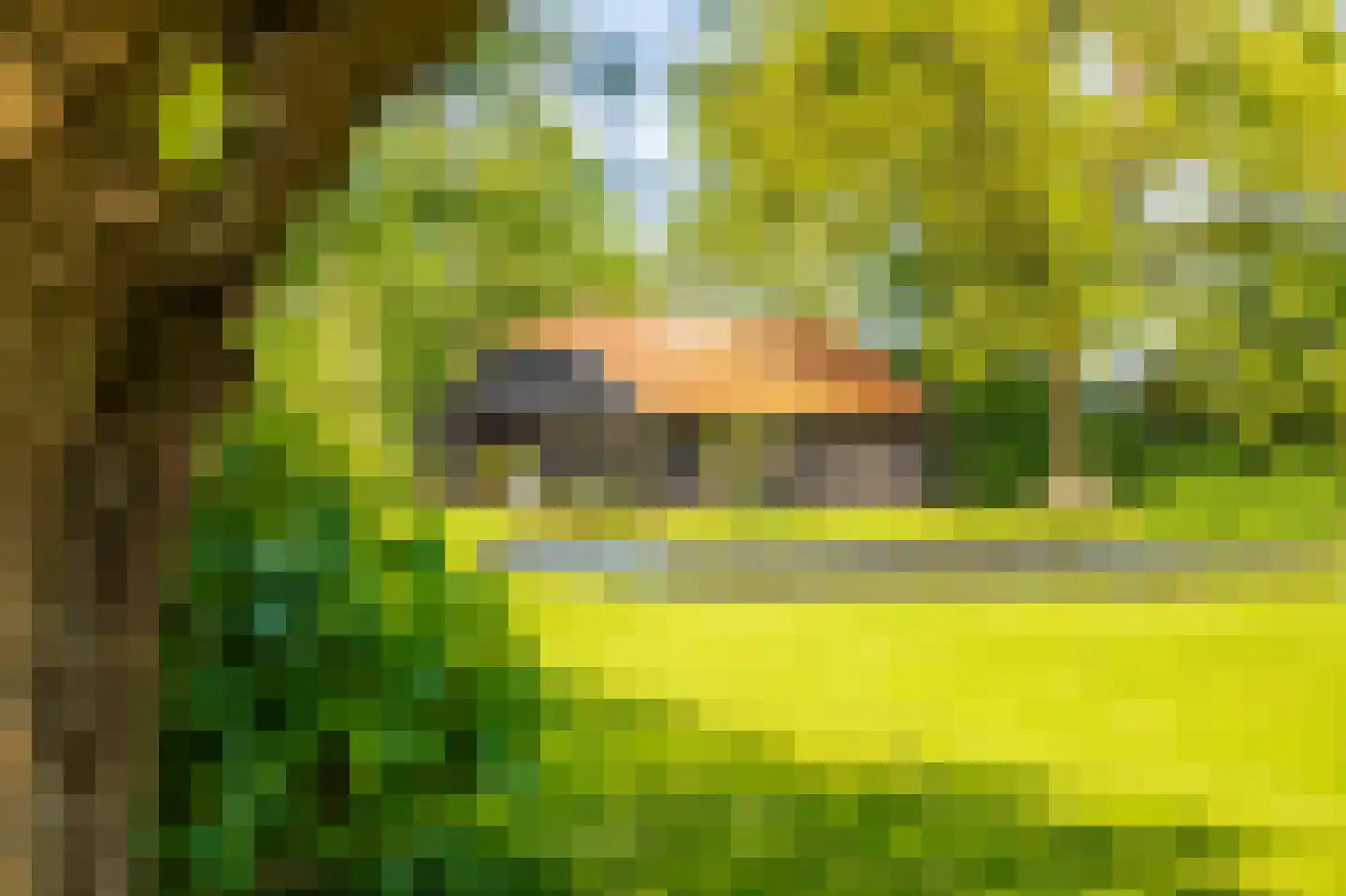 Langelilleweg 2 Langelille thumbnail 16