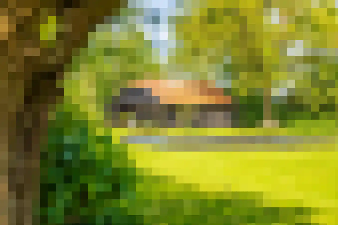 Langelilleweg 2 Langelille thumbnail 17