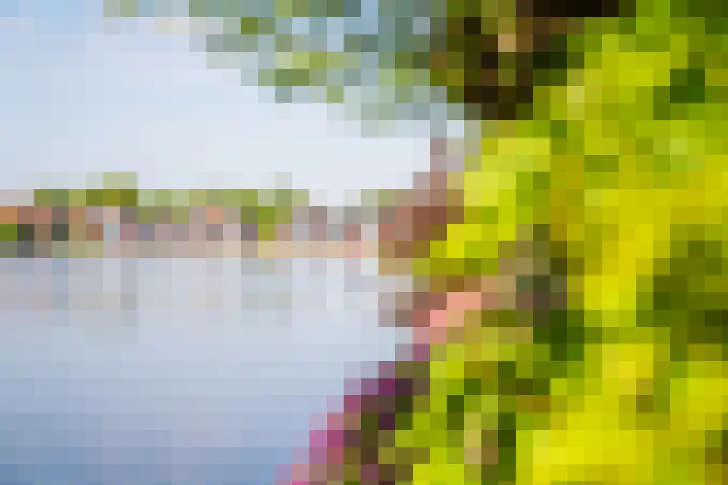 Langelilleweg 2 Langelille thumbnail 18
