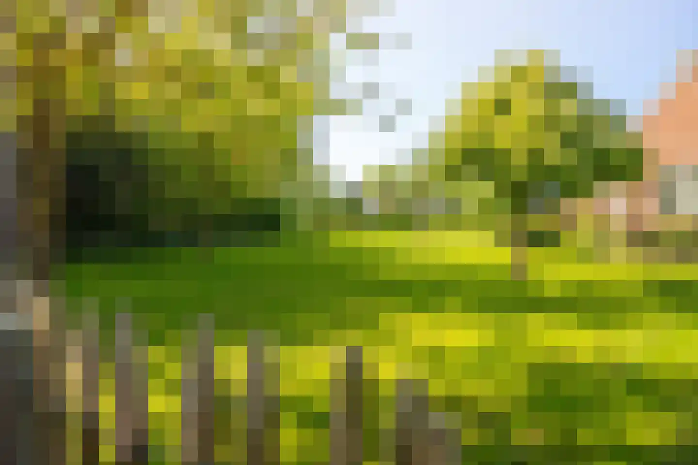 Langelilleweg 2 Langelille thumbnail 21