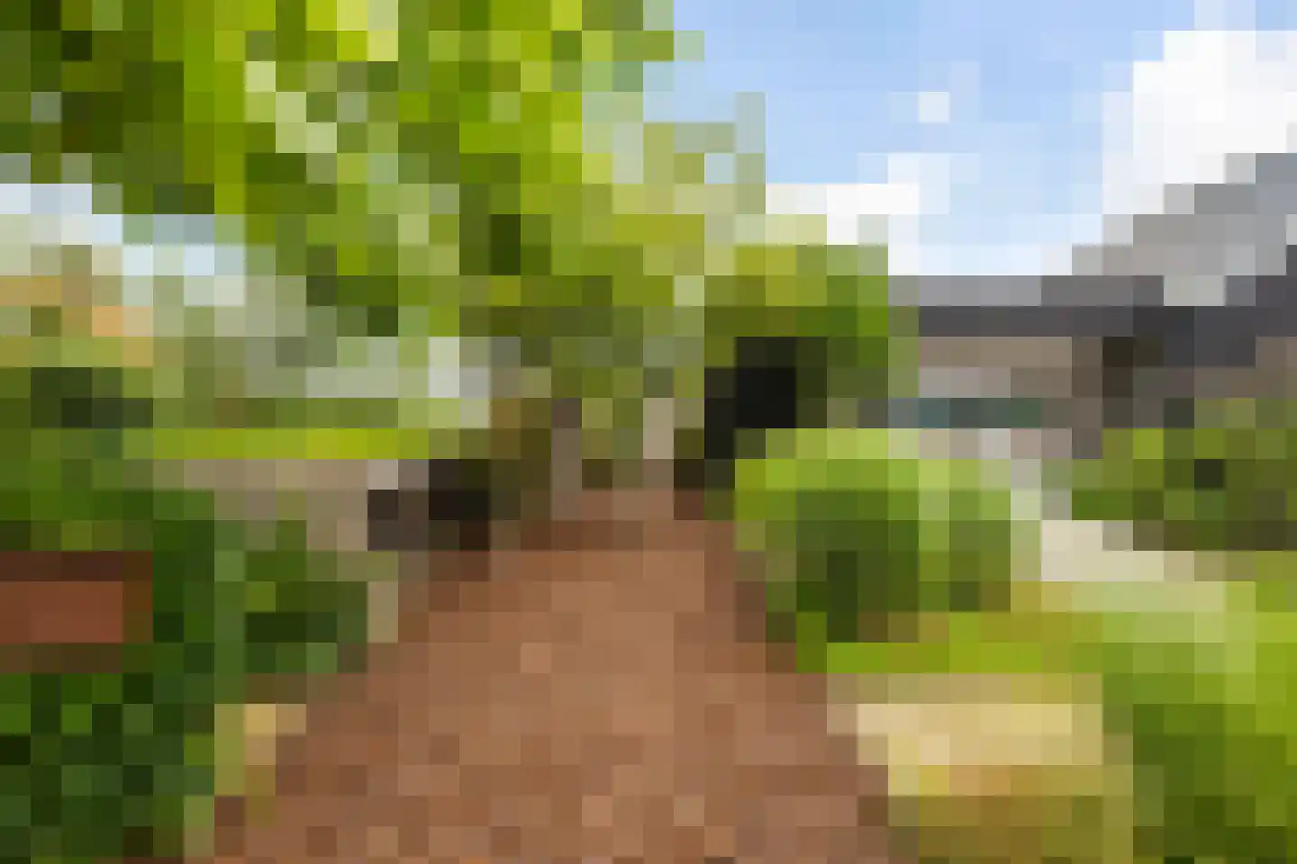 Langelilleweg 21 Langelille thumbnail 5