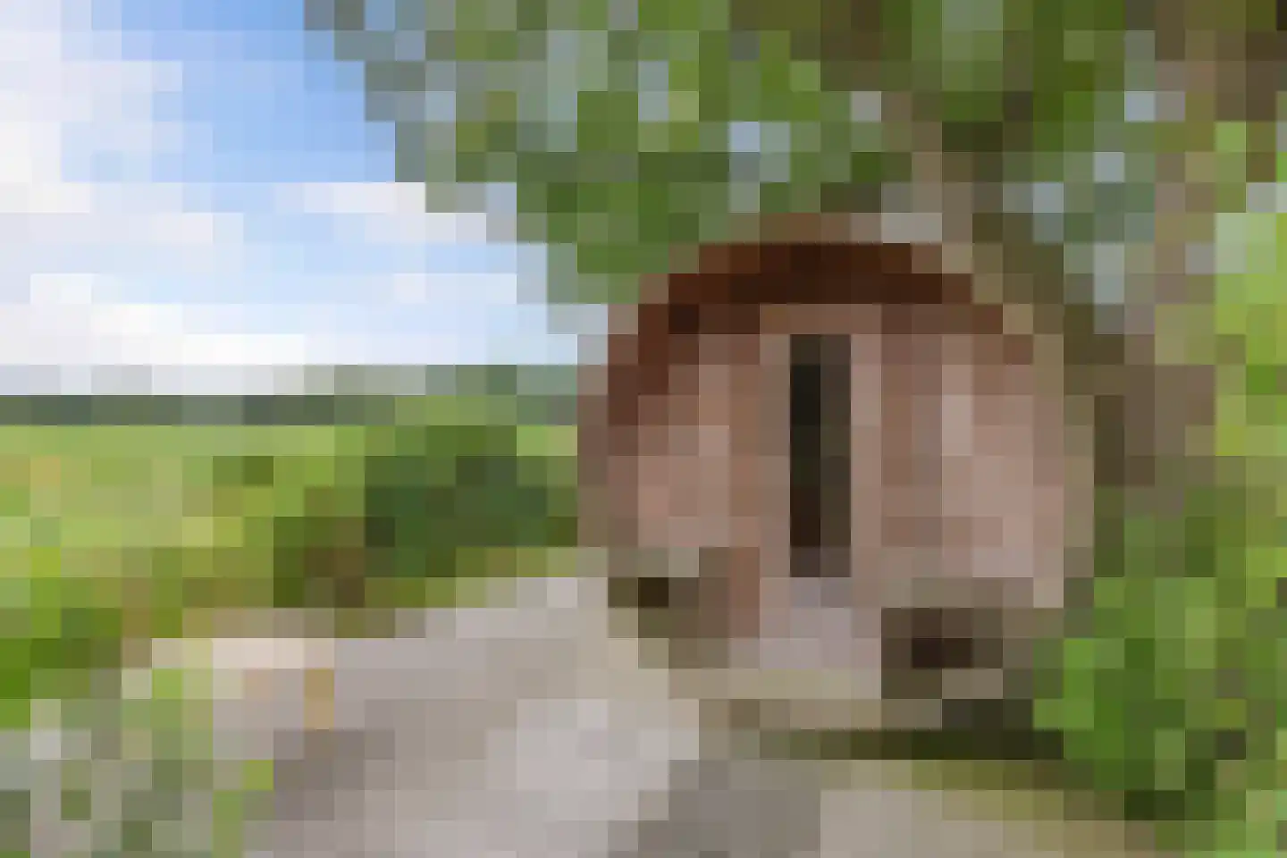 Langelilleweg 21 Langelille thumbnail 69