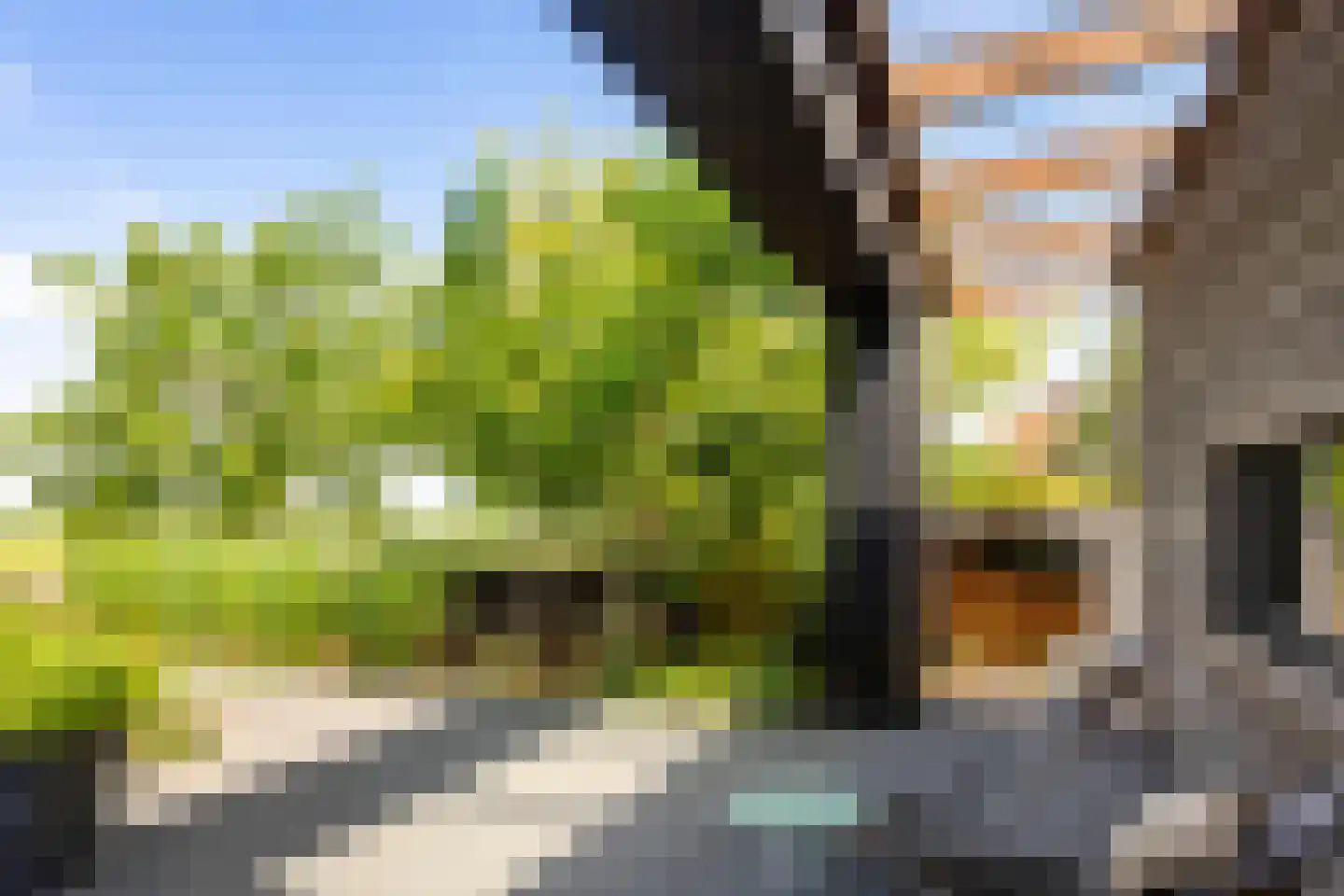 Langelilleweg 21 Langelille thumbnail 9