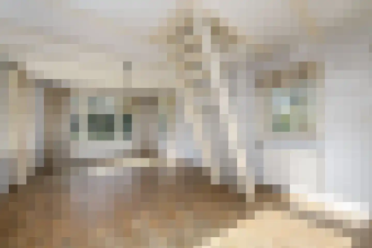 Langelilleweg 5 Langelille thumbnail 5