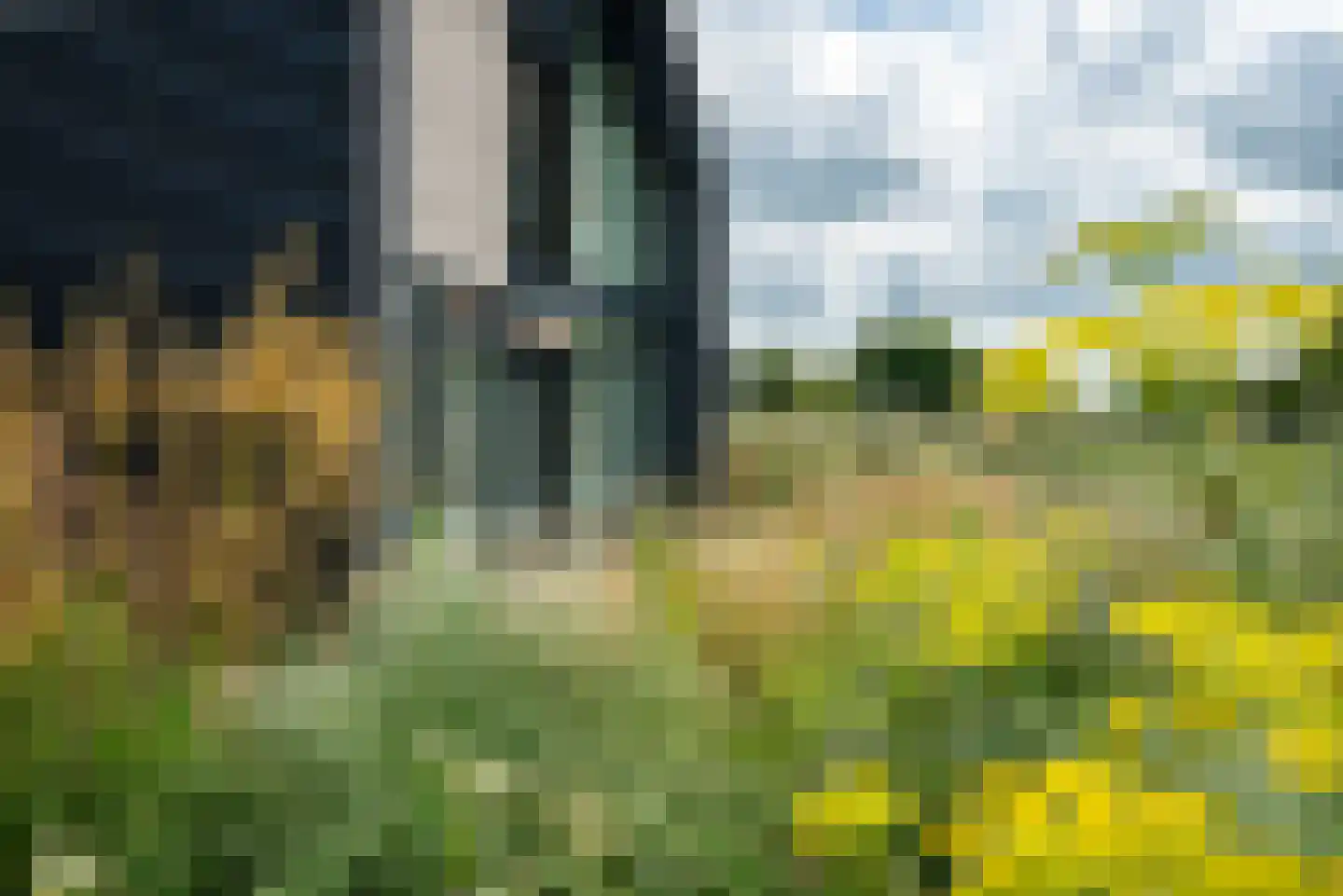 Langelilleweg 87 Langelille thumbnail 67