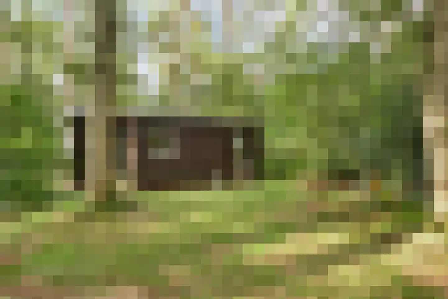 Langeloërduinen 2 61 Norg thumbnail 15