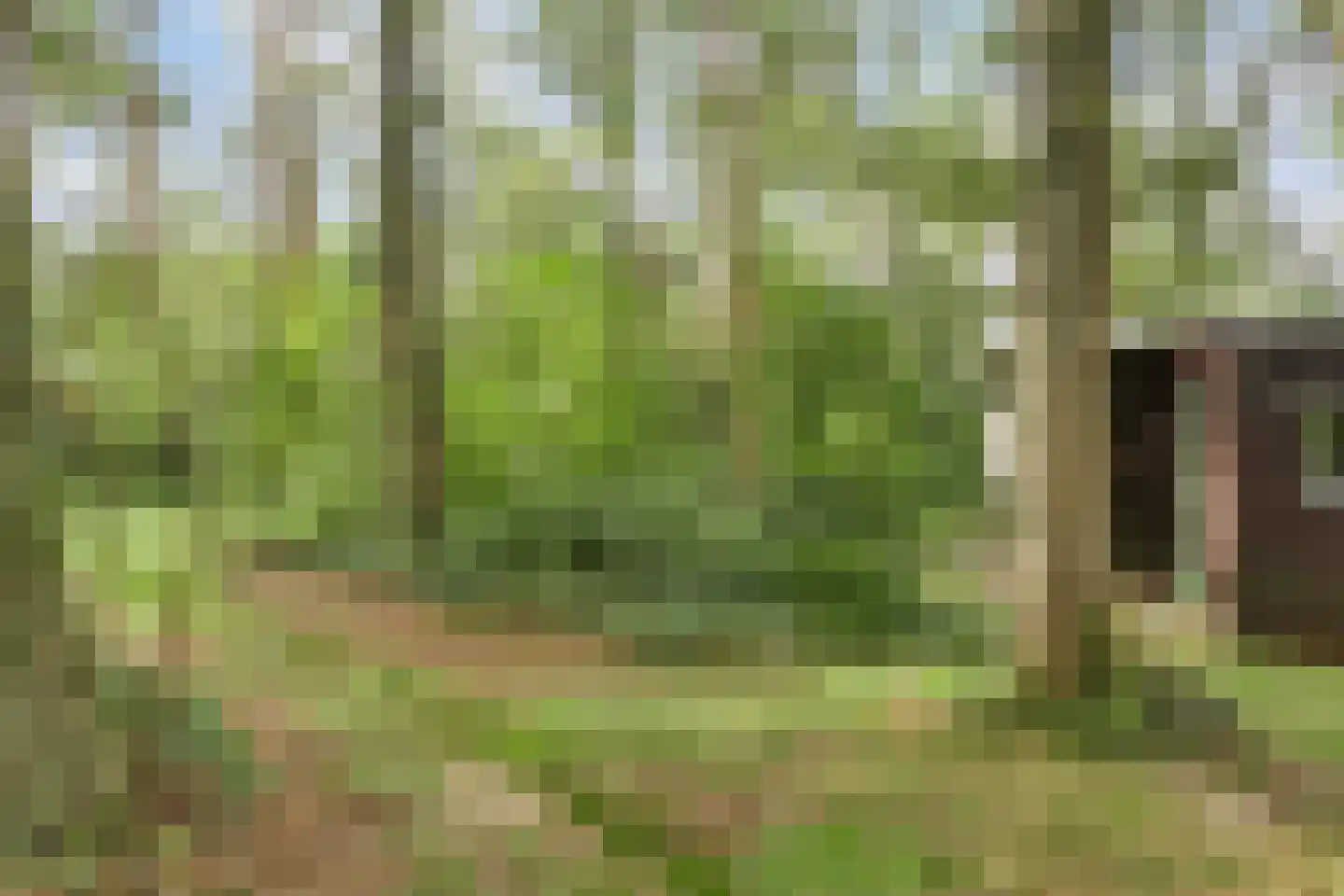 Langeloërduinen 2 61 Norg thumbnail 16