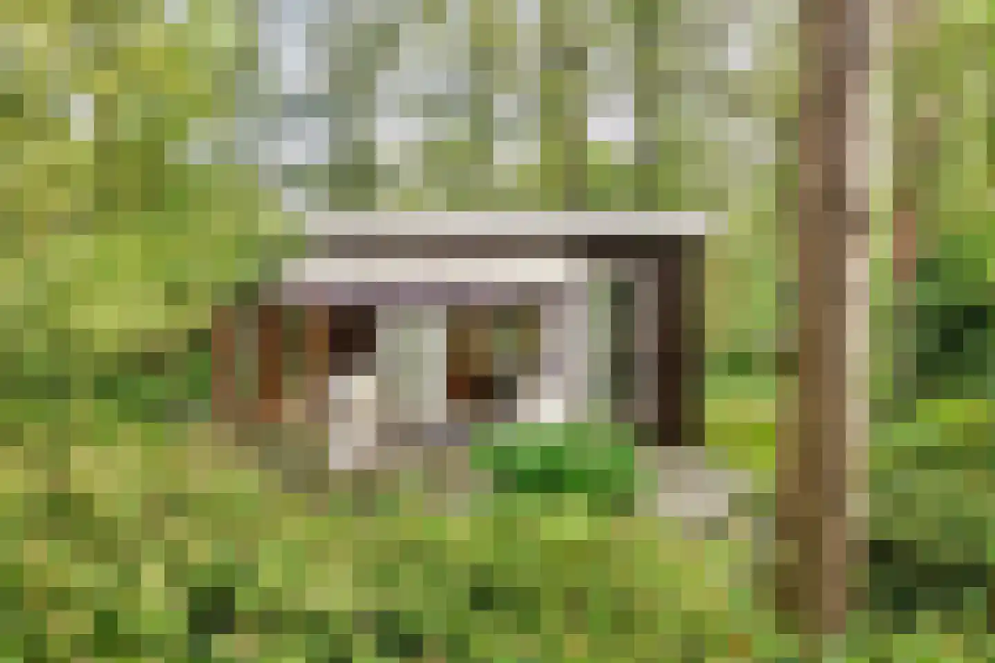 Langeloërduinen 2 61 Norg thumbnail 18