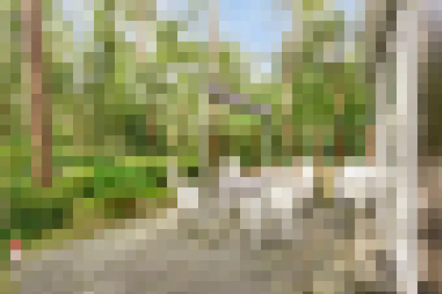 Langeloërduinen 2 61 Norg thumbnail 19