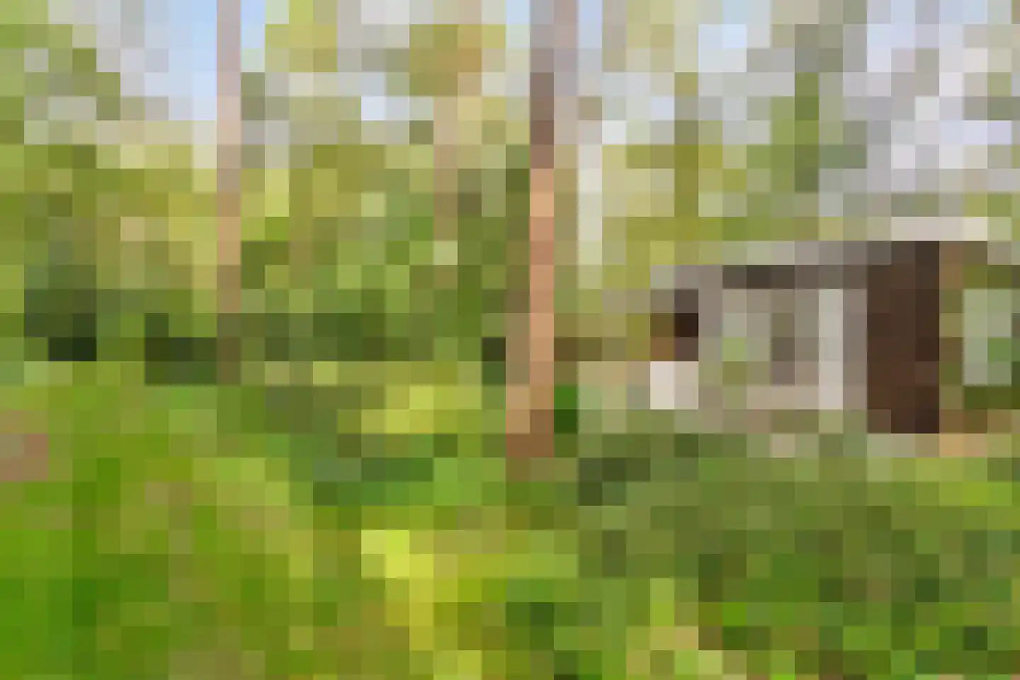 Langeloërduinen 2 61 Norg thumbnail 20