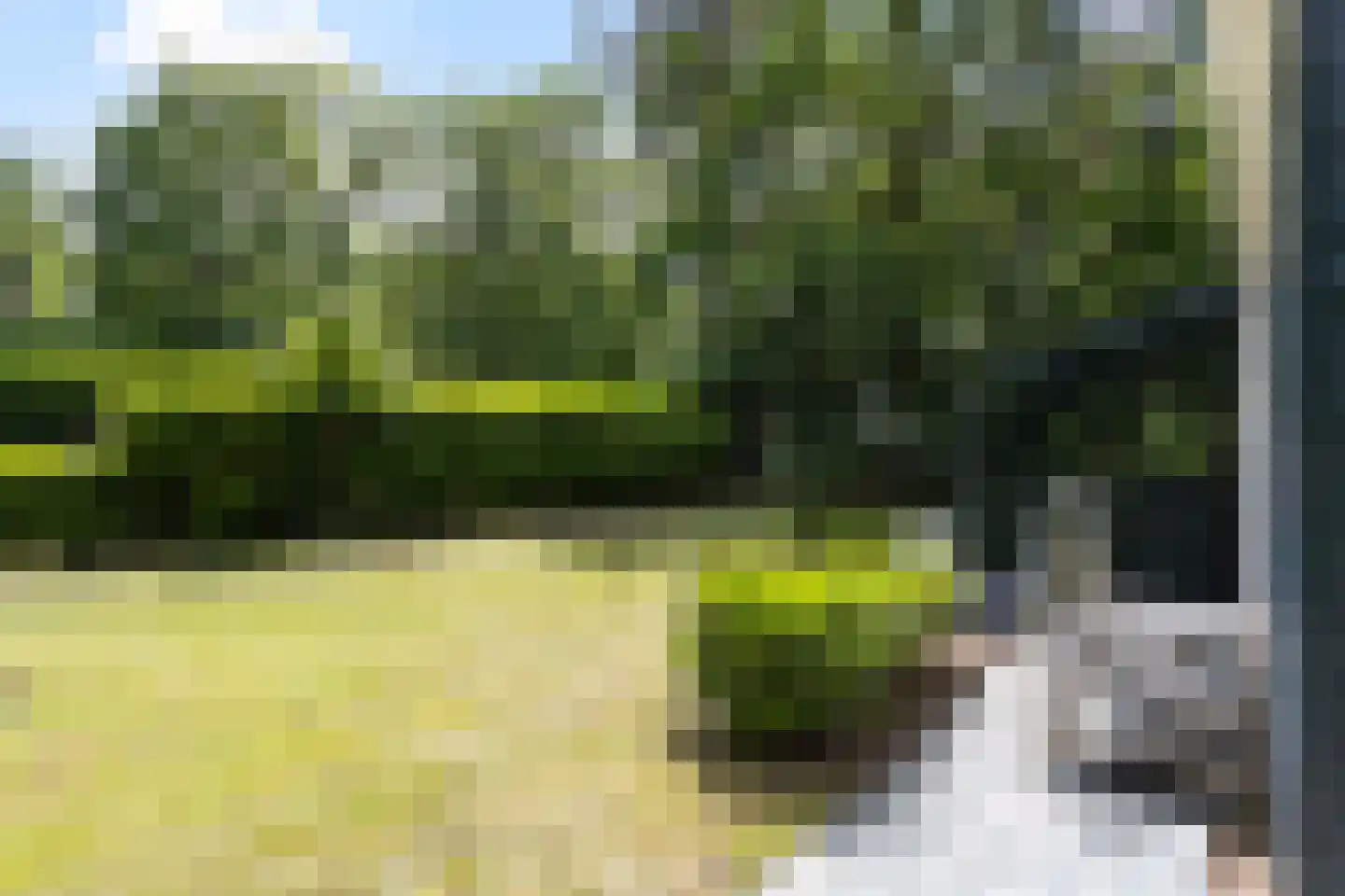 Langeloërduinen 3 31 Norg thumbnail 13