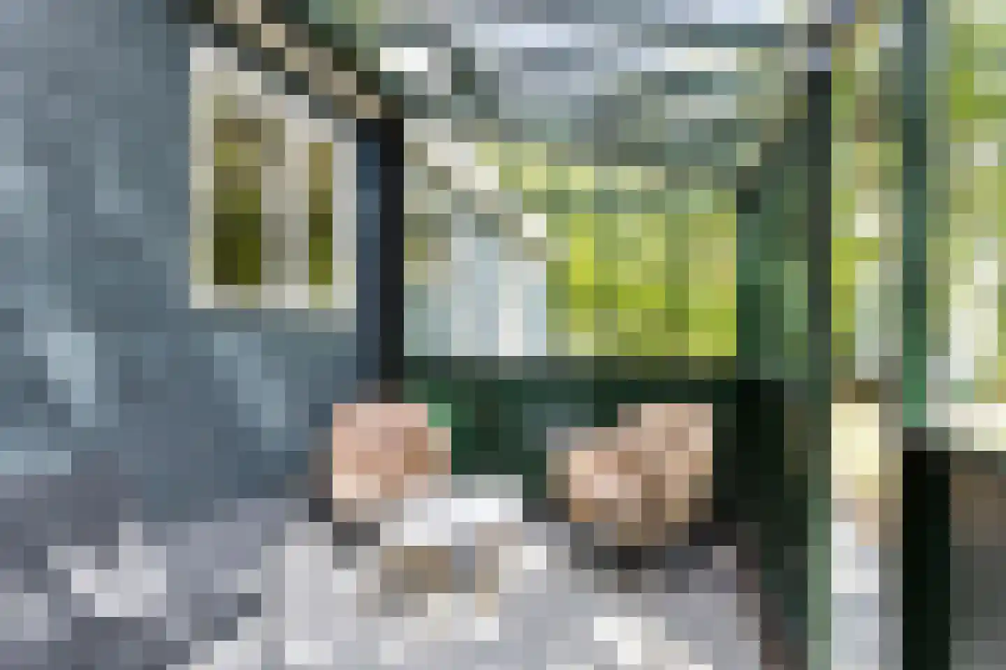 Langeloërduinen 3 31 Norg thumbnail 15